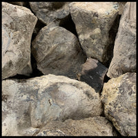 Eden Valley Petrified Wood (full rounds)