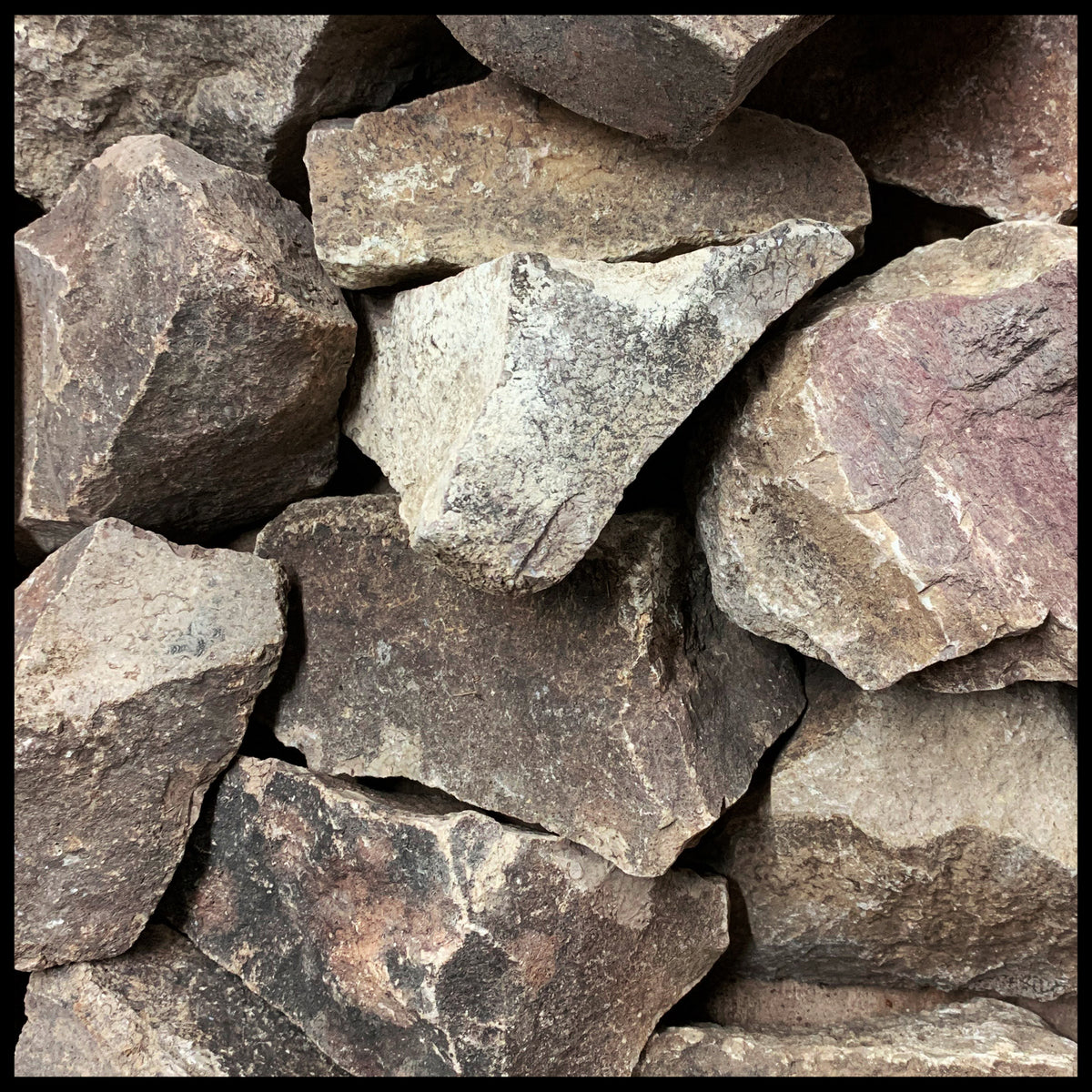 Petrified Wood Logs  Landscape Boulders Rocks Supply