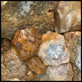 Sagenite Agate, Rough Rock, per lb