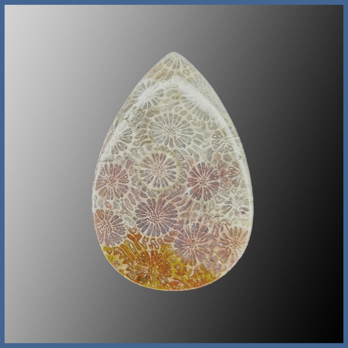 AGC396c_1200x1200.jpg?v=1718986496