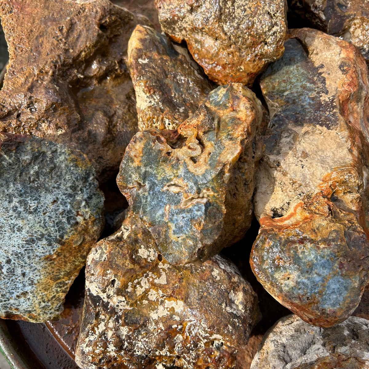 Marcasite in Quartz, Turkey, Rough Rock, per lb