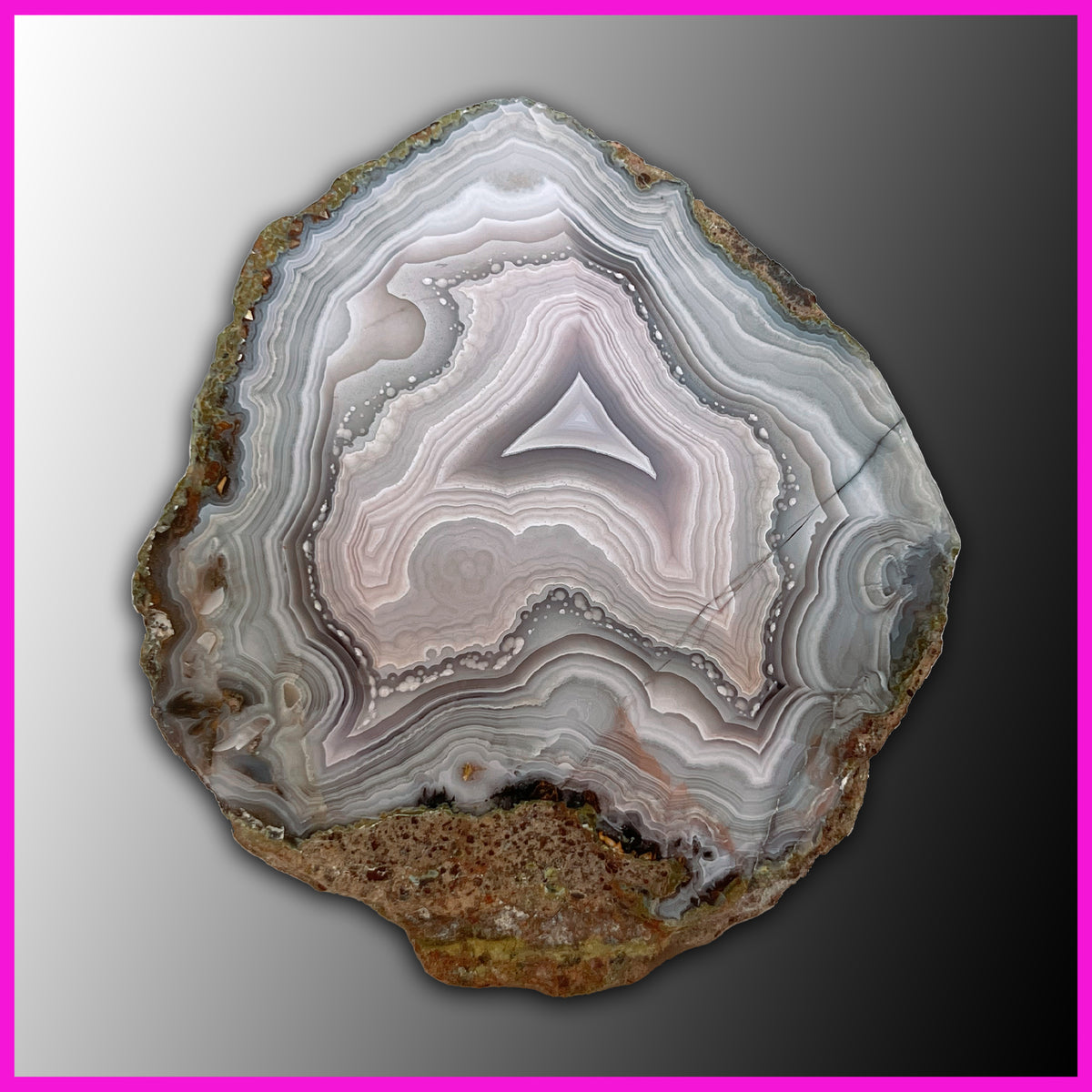 agn524_1200x1200.jpg?v=1689810285