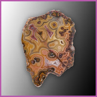 AGN554 Agua Nueva Agate Specimen