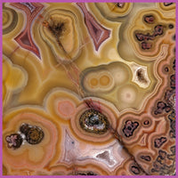 AGN554 Agua Nueva Agate Specimen