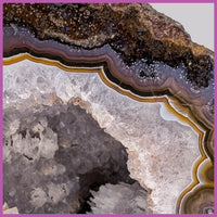 AGN558 Agua Nueva Agate Specimen