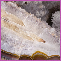 AGN558 Agua Nueva Agate Specimen