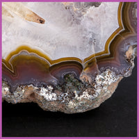 AGN558 Agua Nueva Agate Specimen