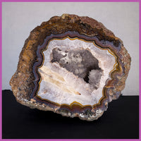 AGN558 Agua Nueva Agate Specimen