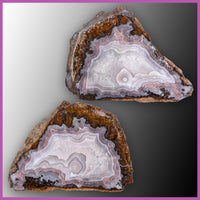 AGN560pr Agua Nueva Agate Specimen Pair