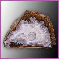 AGN560pr Agua Nueva Agate Specimen Pair