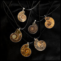 Ammonite Necklace
