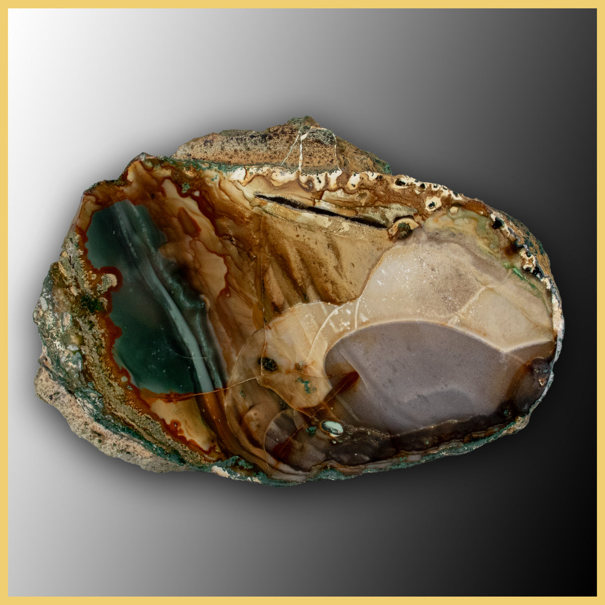 BLM497tr Blue Mountain Jasper Specimen| The Gem Shop, Inc.