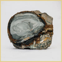 BLM522tr Blue Mountain Jasper Specimen