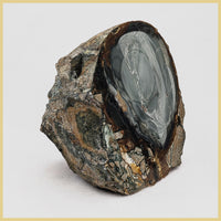BLM522tr Blue Mountain Jasper Specimen
