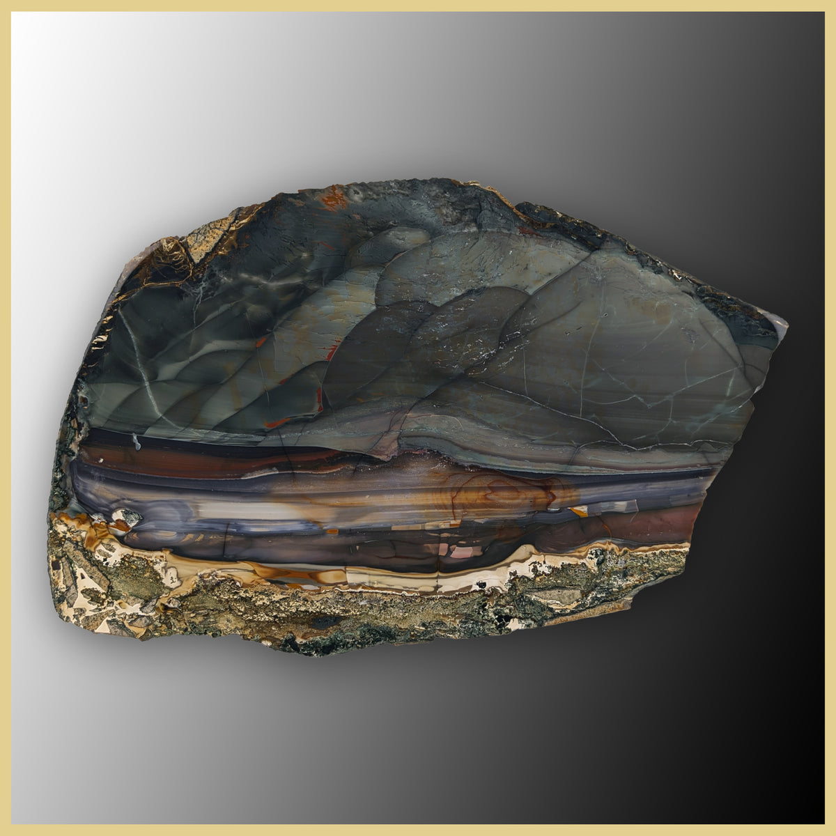 blm527tr_1200x1200.jpg?v=