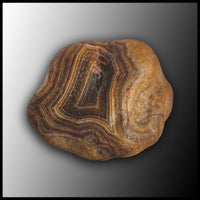 Black River Agate, 10lb lot