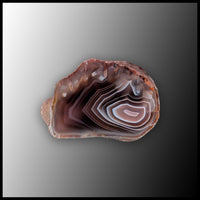 BOT399 Botswana Agate Specimen