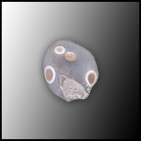 BOT414 Botswana Eye Agate Specimen