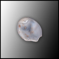 BOT414 Botswana Eye Agate Specimen