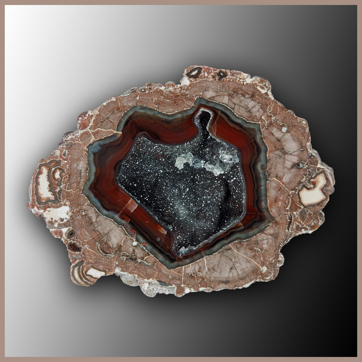 BRT184JR Baker Ranch Thunderegg Specimen| The Gem Shop, Inc.