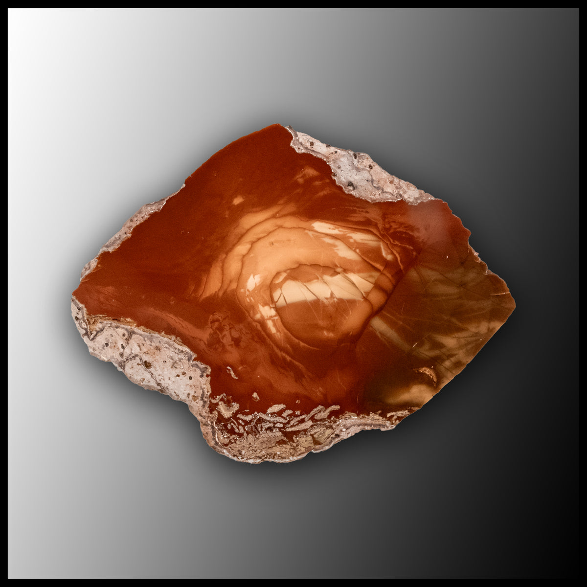 bru152a_1200x1200.jpg?v=1713904735