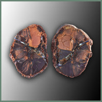 Cold Mountain Thundereggs, Rough Rock, per lb