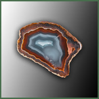 COY457 Coyamito Agate Specimen