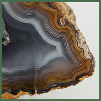 COY477 Coyamito Agate Specimen