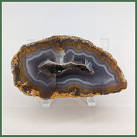 COY477 Coyamito Agate Specimen