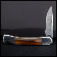 FAS132jr Petrified Wood Knife