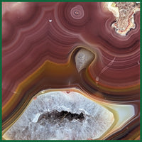 LAG102JR Laguna Agate Specimen