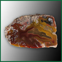 LAG103JR Laguna Agate Specimen