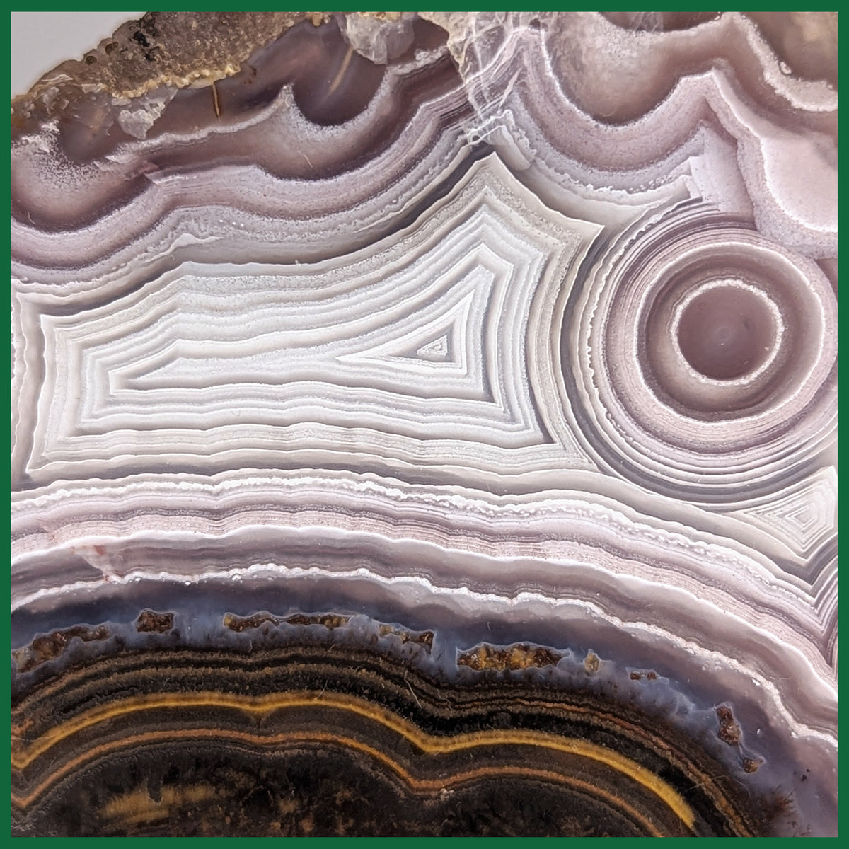 LAG105JR Laguna Agate Specimen| The Gem Shop, Inc.
