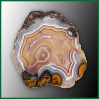 LAG115JR Laguna Agate Specimen