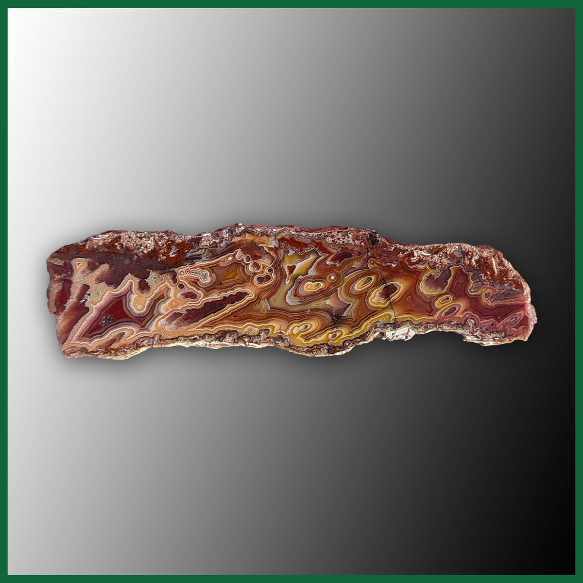 LAG1220 Laguna Agate Polished Slab| The Gem Shop, Inc.