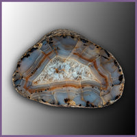 MOM132 Montana Moss Agate Specimen