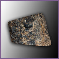 MOM132 Montana Moss Agate Specimen