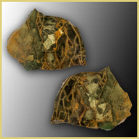 MOR442pr Morrisonite Specimen