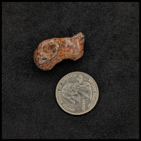MTR107 Sikhote-Alin Meteorite