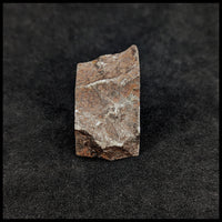 MTR121 Gibeon Meteorite