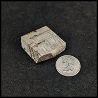 MTR126 Gibeon Meteorite