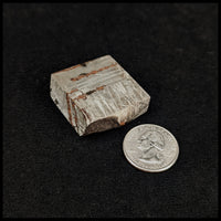 MTR126 Gibeon Meteorite