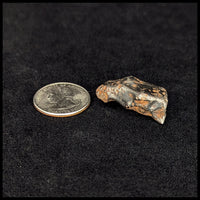 MTR131 Sikhote-Alin Meteorite