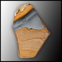 OWY103tr Owyhee Picture Jasper Specimen