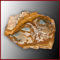 OWY105tr Owyhee Picture Jasper Specimen