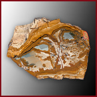 OWY105tr Owyhee Picture Jasper Specimen