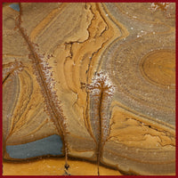 OWY115tr Owyhee Picture Jasper Slab