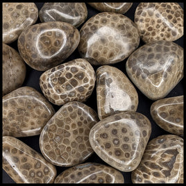 Petoskey Stone Pebble