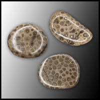 Petoskey Stone Pebble