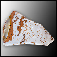 POD101tr Polka Dot Agate Specimen